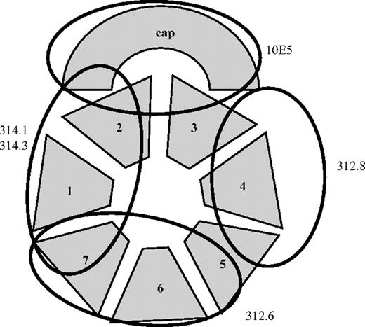 Figure 6. Probable binding sites of monoclonals 314.1, 314.3, 10E5, 312.6, and 312.8 in the GPIIb β propeller domain. N-terminal repeats (“blades”) of the propeller 1 to 7 and the CAP subdomain26 are shown schematically. The binding site shown for 10E5 is based on the crystallographic data of Xiao et al.18 Proposed binding sites for the other 4 mAbs are based on their reactions with chimeric GPIIb/IIIa (Table 1) and the results of competitive binding studies (Table 2).