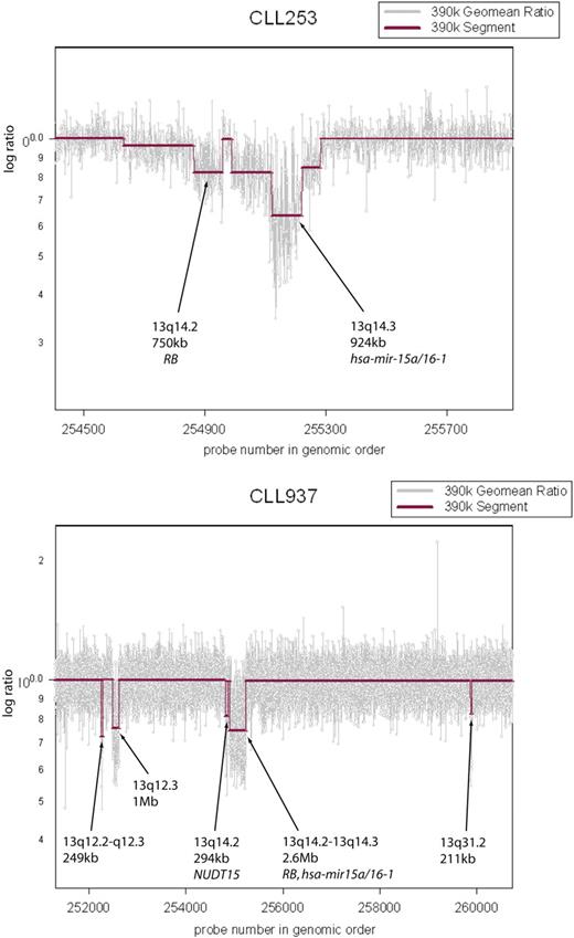 Figure 4. Multiple lesions observed in the 13q region. CLL cells from patient CLL253 exhibit 2 distinct lesions on 13q. RB is hemizygously deleted and the hsa-mir-15a/16-1 cluster is homozygously lost. Sample CLL937 exhibits multiple, distinct lesions on 13q.