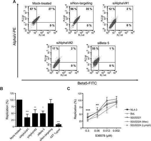 Figure 1. Blocking integrin αV function inhibited HIV-1 replication in HeLa-P4R5-MAGI cells. (A) RNAi mediated inhibition of αV and β5 integrins. Flow cytometry dot plots of αV (vertical axis) and β5 (horizontal axis) of mock-treated cells or treated with different siRNAs (siAlphaV#1, siAlphaV#2, siBeta5, and siNontargeting as a control) 48 hours after transfection. One representative experiment is shown. (B) Inhibition of HIV-1 replication in αV-silenced and β5-silenced HeLa cells. Percentage of HIV-1 NL4-3 replication compared with the mock control is shown. Data are mean plus or minus SD of at least 3 independent experiments. (C) S36578 inhibition of viral replication of different HIV strains. Percentage of replication (mean ± SD of at least 3 independent experiments) at different S36578 concentrations for each of the viruses used is shown. *P < .05; **P < .005; ***P < .001.