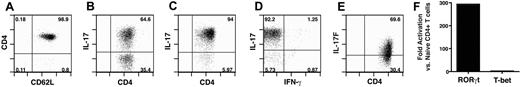 Figure 1. TH17 in vitro differentiation. TH17 cells were generated as described in “Methods.” (A) Initial histogram of CD4+ T cells isolated after sorting. (B) Flow cytometric analysis of T cells differentiated for 6 days. Evaluation of T cells differentiated for 11 days: IL-17A (C,D), IFN-γ (D), and IL-17F (E). (B-E), plots derived from CD4+ gate. (F) Aliquots of cells from TH17 culture (day 11 in culture) and sorted naive CD4+ T cells were harvested, and RNA was extracted. RNA samples were subjected to quantitative PCR for RORγt and T-bet.