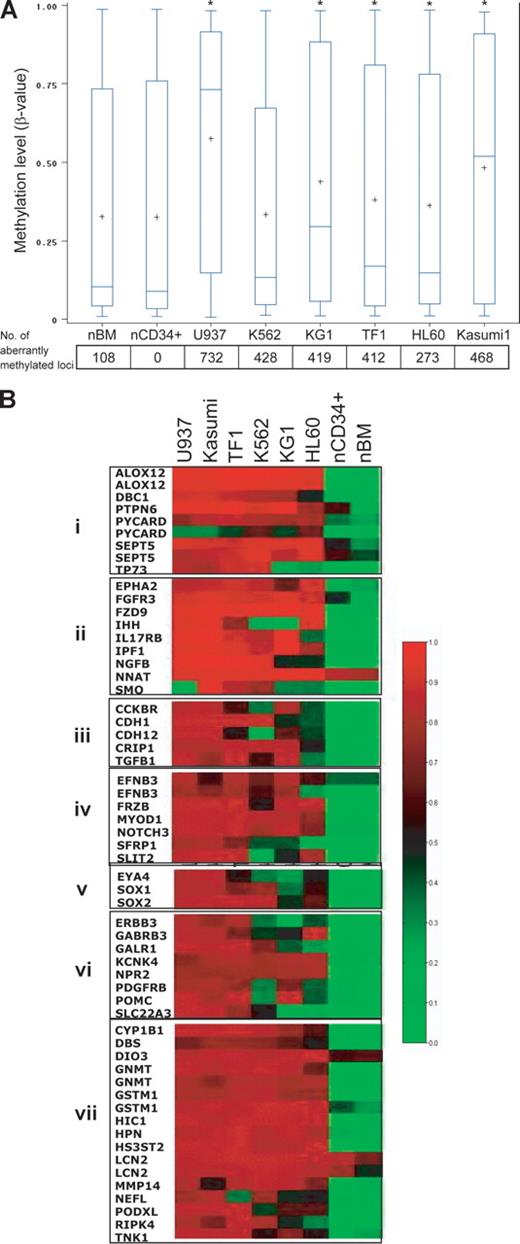 Figure 2. Hypermethylated genes in leukemic cell lines belong to many functional groups. (A) Myeloid leukemia cell lines have increased CpG site methylation levels (β-values), and a high frequency of aberrantly methylated CpG sites, compared with normal CD34+ hematopoietic cells. The vertical boxes delineate the interquartile range in β-values; T bars, 95% range of values. The horizontal line in the boxes indicates the median values and the plus sign indicates the mean. The asterisk indicates significant β-value difference with CD34+ cells in a Tukey Studentized Range t test. The numbers below the graph are the number of aberrantly methylated loci (compared with normal CD34+ control). The text explains why the frequency of aberrant methylation may be underestimated if only β-values are analyzed. (B) Heat-map analysis showing the methylation β-values of 58 CpG loci that were concordantly hypermethylated in all 6 leukemia cell lines. Red, black, and green correspond to high, medium, and low methylation levels, respectively. Genes were grouped according to their functions: group I, apoptosis and cell cycle; group II, cell development; group III, cell proliferation and adhesion; group IV, cell differentiation; group V, chromosome architecture; group VI, signal transduction; and group VII, other.
