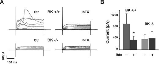 Figure 1. BK channel activity in vascular smooth muscle cells from WT and BK−/− mice. To confirm the presence and normal function of BK channels in WT mice, vascular smooth muscle cells from BK+/+ and BK−/− mice were subjected to patch clamp (A). Bars (mean ± SD) represent the mean current amplitudes measured at 100 mV (B). n cells ≥ 6, each bar. *P < .05.