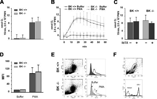 Figure 2. Superoxide in bone marrow PMNs from BK+/+ and BK−/− mice. Net superoxide production as well as the kinetics over 60 minutes by PMA-stimulated PMNs was the same in normal and BK−/− mice (A). The BK channel inhibitor IbTX had no effect on extracellular superoxide generation by either PMN population (B). Superoxide generation after opsonized zymosan was the same in BK+/+ and BK−/− cells (C). Intracellular NADPH oxidase activity, assessed as the DHR oxidation by stimulated PMNs measured and quantitated as mean fluorescent intensity (MFI), was the same in BK+/+ and BK−/− cells (D) based on the light scatter characteristics (E). PMNs specific GR-1 staining in whole blood indicated that the gated populations used to assess DHR oxidation were indeed PMNs (F).