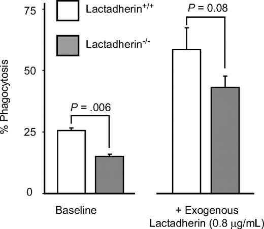 Figure 7. Phagocytosis of platelet-derived microvesicles by splenic macrophages in mice. Splenic macrophages were isolated from lactadherin-deficient mice and their wild-type littermate controls and incubated with BODIPY-labeled mouse platelet-derived microvesicles in the absence or presence of exogenous lactadherin. Phagocytosis of microvesicles was quantified as described before. The results are the means and SDs of triplicate measurements.