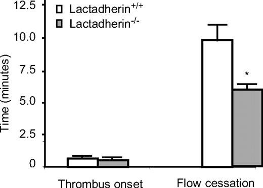 Figure 9. Thrombus formation in lactadherin-deficient mice. Endothelial injury was induced by light/dye in vivo in the cremasteric venules. Thrombus onset and flow cessation were monitored by intravital microscopy in lactadherin-deficient mice () and the littermate controls (□). *P = .01; n = 9.
