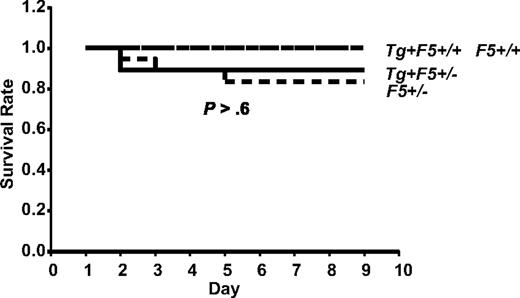 Figure 1. Control mice of the FV-transgenic lines inoculated with GAS strain UMAA2616. F5+/−, Tg+F5+/−, Tg+F5+/+, and F5+/+ mice for all 3 FV-transgenic lines were infected with UMAA2616 at doses of 3.6 × 106 to 2.6 × 108 CFU. Data were pooled from 7 independent experiments using littermates, constituting a total of 18 F5+/−, 27 Tg+F5+/−, 3 Tg+F5+/+, and 7 F5+/+ mice.