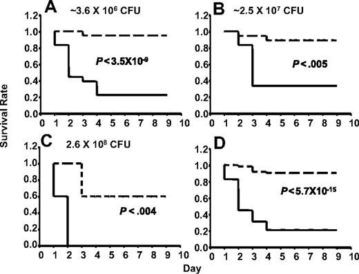 Figure 2. AlbfvB mice inoculated with GAS strain UMAA2616. P values for differences between the survival curves are indicated in all panels. The solid line represents Tg+F5−/−; dashed lines, F5+ littermate controls. (A) Inoculum of 3.6 × 106 CFU. Data were pooled from 4 independent experiments (totaling 17 AlbfvBTg+F5−/− mice and 32 littermate F5+ controls), at doses ranging from 1.2 × 106 to 4.9 × 106 CFU. (B) Inoculum of 2.5 × 107 CFU. Data were pooled from 2 independent experiments (totaling 6 AlbfvBTg+F5−/− mice and 18 littermate F5+ controls) at doses of 1.4 × 107 and 3.6 × 107 CFU. (C) Inoculum of 2.6 × 108 CFU. Data were from a single experiment with 5 AlbfvBTg+F5−/− mice and 5 F5+ littermate controls. (D) Pooled data from all the experiments shown in panels A to C (a total of 28 AlbfvBTg+F5−/− mice and 55 F5+ littermate controls).