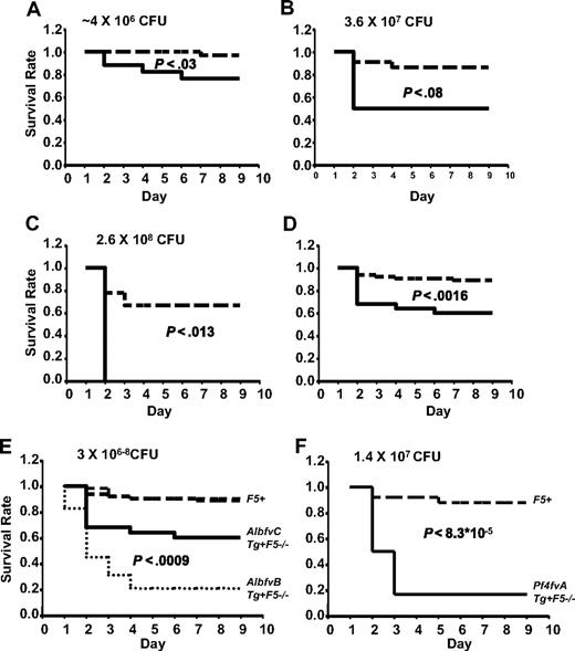 Figure 3. AlbfvC and Pf4fvA mice inoculated with GAS strain UMAA2616. P values for survival differences are indicated in each panel. — represents Tg+F5−/−; ----, F5+ littermate controls. (A) AlbfvC mice at an inoculum of approximately 4 × 106 CFU. Data were pooled from 2 independent experiments (totaling 17 AlbfvCTg+F5−/− mice and 32 littermate F5+ controls), at doses of 3.7 × 106 and 4.4 × 106 CFU, respectively. (B) AlbfvC mice at an inoculum of 3.6 × 107 CFU. Data were derived from 1 experiment (4 AlbfvCTg+F5−/− mice and 22 littermate F5+ controls). (C) AlbfvC mice at an inoculum of 2.6 × 108 CFU. Data were derived from 1 experiment (4 AlbfvCTg+F5−/− mice and 9 littermate F5+controls). (D) Pooled data from all experiments (25 AlbfvCTg+F5−/− mice and 63 littermate F5+ controls). (E) Comparison of the AlbfvC and AlbfvB lines (combined from Figures 3D and 2D). P value of the difference between Tg+F5−/− mice from AlbfvC and AlbfvB lines is indicated. (F) Pf4fvA mice at an inoculum of 1.4 × 107 CFU. Data were derived from 1 experiment (6 Pf4fvATg+F5−/− mice and 25 littermate F5+ controls).