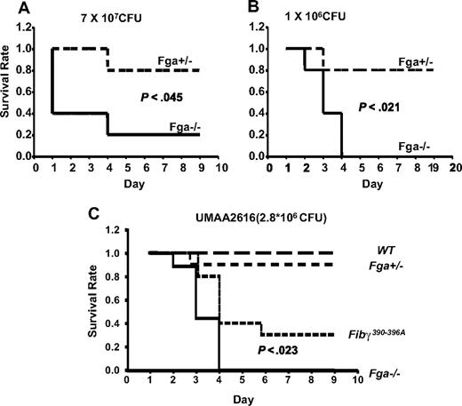 Figure 4. Fga−/− and Fga+/− mice infected with UMAA2616. P values of survival difference are indicated in all panels. — represents Fga−/−; ----, Fga+/− littermate controls. (A) Five Fga−/− mice and 5 sibling control Fga+/− mice were infected with 7 × 107 CFU UMAA2616. (B) Five Fga−/− mice and 5 sibling control Fga+/− mice were infected with 106 CFU UMAA2616. (C) Ten Fibγ390-396A and wild-type sibling controls, 9 Fga−/−, and 10 Fga+/− sibling control were infected with 2.8 × 106 CFU UMAA2616.