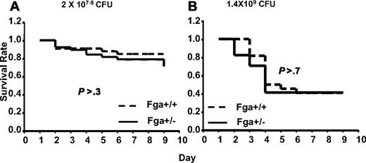 Figure 6. Fga+/− and Fga+/+ mice infected with UMAA2616. P values of survival difference are indicated in all panels. — represents Fga+/−; ----, Fga+/+ littermate controls. (A) Fga+/− mice and sibling control Fga+/+ mice were infected with 2 × 107 to 108 CFU UMAA2616. Data were pooled from 4 independent experiments totaling 38 Fga+/− mice and 33 Fga+/+ mice. (B) Fga+/− mice and sibling control Fga+/+ mice were inoculated with 1.4 × 109 CFU UMAA2616, totaling 17 Fga+/− mice and 22 Fga+/+ mice in 1 experiment.