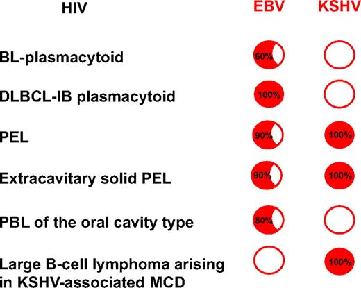 Figure 2. The spectrum of HIV-associated lymphomas. Relationship with EBV and KSHV infection. The spectrum of lymphomas occurring in HIV-infected patients includes pathologic subtypes displaying specific association with distinct viruses. BL and DLBCL-IB with plasmacytoid differentiation are often HIV associated and closely linked to EBV infection. The HIV-associated DLBCL-IB is distinct from other large cell lymphomas occurring in both HIV-seropositive and -seronegative patients because HIV-associated DLBCL-IB lymphomas display a plasma cell–related phenotype; interestingly, the gene expression profile of PEL is plasmablastic. Therefore, most HIV-associated lymphoproliferative disorders, including primary central nervous system lymphoma, systemic DLBCL IB-plasmacytoid, KSHV + PEL and its solid variant, and PBLs of the oral cavity type, display a phenotype related to plasma cells and are linked to EBV infection. Red circle indicates positive infection (inside are the percentages); empty circle indicates no infection. DLBCL-IB indicates diffuse large B-cell lymphoma-immunoblastic; EBV, Epstein-Barr virus; KSHV, Kaposi sarcoma herpesvirus; MCD, multicentric Castleman disease; PBL, plasmablastic lymphoma; and PEL, primary effusion lymphoma.