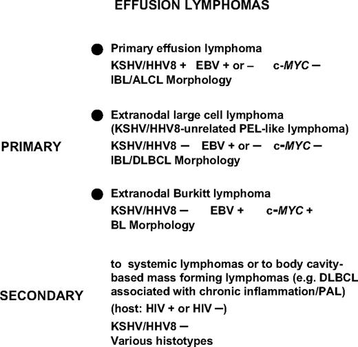 Figure 4. Classification and differential diagnosis of non-Hodgkin lymphomas involving the serous body cavities and presenting as effusion lymphomas. Lymphomas primarily involving the serous body cavities include a certain number of BLs, mainly occurring in the context of AIDS, which present as primary lymphomatous effusions without mass formation. The most specific biologic markers discriminating PEL from BL presenting as a primary lymphomatous effusion are represented by KSHV infection (assessed by ORF73/LNA-1 immunoreactivity), which clusters with PEL, and by translocation of the c-MYC proto-oncogene, which segregates with BL. KSHV-unrelated large B-cell lymphomas, also termed as KSHV-unrelated PEL-like lymphomas, can be differentiated from PEL because the neoplastic cells do not display evidence of KSHV infection, but display features related to large B-cell lymphoma. KSHV/HHV8 indicates Kaposi sarcoma herpesvirus/human herpesvirus 8; EBV, Epstein-Barr virus; IBL, immunoblastic lymphoma; ALCL, anaplastic large cell lymphoma; DLBCL, diffuse large B-cell lymphoma; BL, Burkitt lymphoma; and PAL, pyothorax-associated lymphoma, now called DLBCL with chronic inflammation.