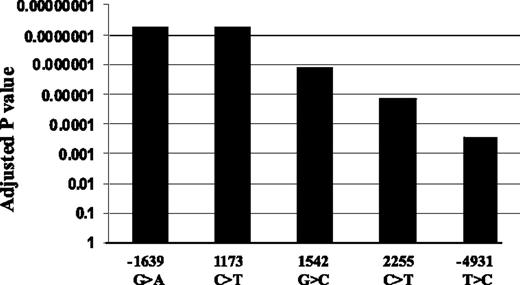 Figure 2. Association of VKORC1 SNPs with AEI. Adjusted P values were used to correct for multiple comparisons using Helix Tree software.