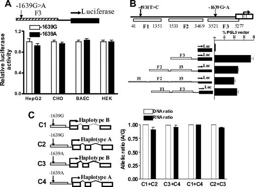 Figure 4. The effects of promoter SNP on VKORC1 mRNA expression. (A) Transcriptional activity of promoter fragments containing −1639 G or −1639 A, measured by luciferase reporter gene assays in 4 different cell lines. (B) Effects of 5′ upstream fragments F1 and F2 on transcription activity of proximate promoter fragment F3. (C) Allelic mRNA expression of VKORC1 in HepG2 cells after cotransfection with VKORC1 gene constructs. The constructs combine −1639 G or −1639 A alleles with either haplotype A or B of the transcribed region. Data are means plus or minus SD.