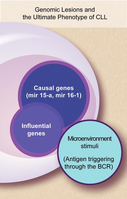 Complex interactions between genes and microenvironment concur to shape the phenotype of CLL patients—their clinical presentation and natural history. Professional illustration by Debra T. Dartez.