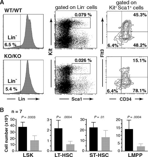 Figure 5. Phenotypic defects in the HSC compartment of Mll5−/− mice. (A) Reduced frequency of Lin−/Sca1+/Kit+ (LSK) cells (middle panels) and altered CD34/Flt3 subset composition (right panels) in Mll5−/− mice. (Left panels) Lineage gates. Plots from one representative pair of animals are shown. (B) Total number of cells in the respective HSC subpopulation, as average per animal (2 tibiae, 2 femora). LT-HSC, CD34−Flt3− LSK subset; ST-HSC, CD34+Flt3− LSK subset; LMPP, CD34+Flt3+ LSK subset.