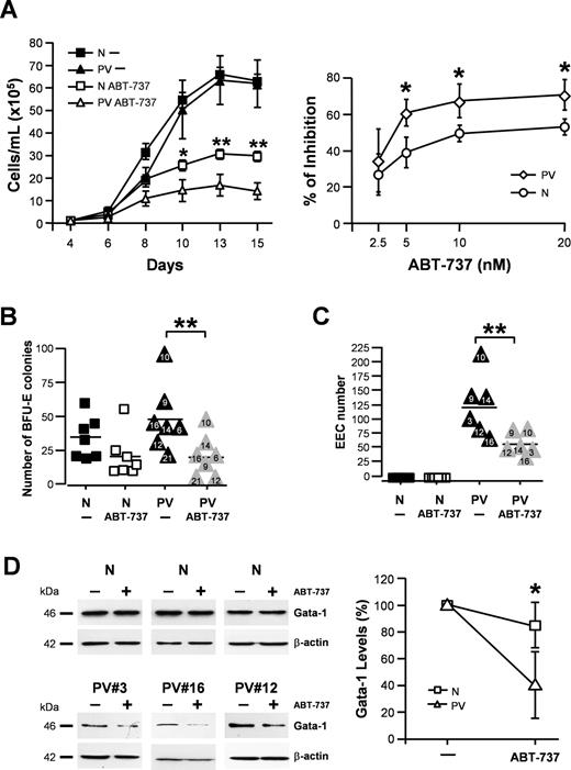 Figure 2. ABT-737 inhibits PV erythroblast proliferation and endogenous erythroid colony production. (A) ABT-737 inhibits the proliferation of PV erythroblasts. Erythroblasts at day 4 of liquid culture derived from CD34+ cells of 3 healthy donors (N) or of 3 JAK2V617F-high patients (PV) were plated in medium containing 3 U/mL erythropoietin (for normal HPCs) or 0.3 U/mL erythropoietin (for PV HPCs) in the presence of 20 nM ABT-737 (ABT-737) or an equivalent volume of DMSO (−). Cell growth is expressed as the mean and SEM of samples counted at different days of culture (left panel). Statistical analysis performed by means of 2-way ANOVA with Bonferroni post-tests showed statistical significances (*P < .05 at day 10; **P < .01 at day 13; and **P < .01 at day 15 between ABT-737–treated normal and PV samples). The percentage of growth inhibition exerted by increasing doses of ABT-737 was assessed by cultivating day-4 erythroblasts from 5 JAK2V617F-positive patients (PV) or 5 healthy donors (N) in medium containing 3 U/mL erythropoietin (for normal HPCs) or 0.3 U/mL erythropoietin (for PV HPCs) in the presence of DMSO or of the indicated doses of ABT-737 (right panel). The percentage of growth inhibition is expressed as the mean and SD of values calculated at day 13 of culture as described in “Study design.” Mann-Whitney nonparametric test showed statistical significance (*P = .028 for 5, 10, and 20 nM between normal and PV samples). (B) Number of BFU-E colonies obtained from the semisolid culture of normal (N) and JAK2V617F-high PV CD34+ cells (PV) plated in the presence of 500 nM ABT-737 or of an equivalent volume of DMSO (−). Data were analyzed with Wilcoxon matched pairs test and showed a statistical significance (**P = .007 between untreated and ABT-737–treated PV samples), whereas the difference between untreated and ABT-737–treated normal samples was not statistically significant. (C) Number of endogenous erythroid colonies (EECs) produced by normal (N) and PV peripheral blood mononuclear cells plated in the presence of 500 nM ABT-737 or of an equivalent volume of DMSO (−). **Mann-Whitney nonparametric test showed a statistical significance of P = .008 between untreated and ABT-737–treated PV samples. (D) GATA-1 expression levels in normal (N) and PV erythroblasts cultured with 3 U/mL erythropoietin or 0.3 U/mL erythropoietin, respectively and treated for 4 days with 20 nM ABT-737 or with an equivalent volume of DMSO (−). The right panel shows the quantification (mean ± SD) of bands shown on the left normalized to beta-actin. *Mann-Whitney nonparametric test showed a statistical significance of P < .05 between GATA-1 protein levels of ABT-737–treated normal and PV samples.
