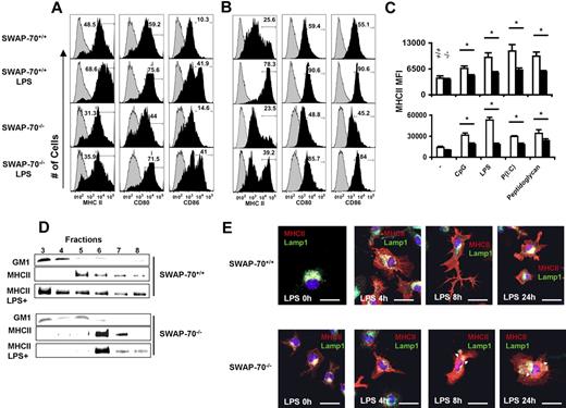 Figure 1. SWAP-70−/− DCs show impaired up-regulation and localization into lipid rafts of surface MHCII molecules. (A,B) FACS histograms showing the expression of surface MHCII in immature and LPS-mature (A) SPDCs and (B) CD11c+ BMDCs. The values on the histograms are the percentage of CD11c+ MHCIIhigh cells. Gray peaks correspond to isotype controls. Representative data of 3 independent experiments are shown. (C) The average of MHCII mean fluorescence intensity (MFI) of CD11c+ BMDCs (top panel) and SPDCs (bottom panel) from SWAP-70+/+ and SWAP-70−/− mice in 3 independent experiments is shown with plus or minus SD. White columns indicate wt; black columns, SWAP-70−/− as indicated. *P < .001. (D) Untreated and LPS-treated (6h) BMDCs were lysed and subjected to sucrose density gradient ultracentrifugation. Proteins of fractions 3 to 8 (0.4 mL each; pellet not included), which contain raft preparations and soluble protein, were resolved by SDS-PAGE and analyzed by Western blotting. Membranes were probed with mAb Y-3P for localization of MHCII or cholera toxin subunit B for the lipid raft marker GM1. (E) Localization of MHCII molecules in lysosomal compartments. BMDCs were prepared from wild-type and SWAP-70−/− mice, incubated with or without LPS, and then fixed at different time points. The MHCII (mAb Y-3P) and lysosomal marker Lamp1 molecules were analyzed by confocal microscopy. Arrowheads show cytoplasmic accumulation of MHCII in SWAP-70−/− BMDCs at 8 and 24 hours after stimulus with LPS. Bar represents 10 μm.