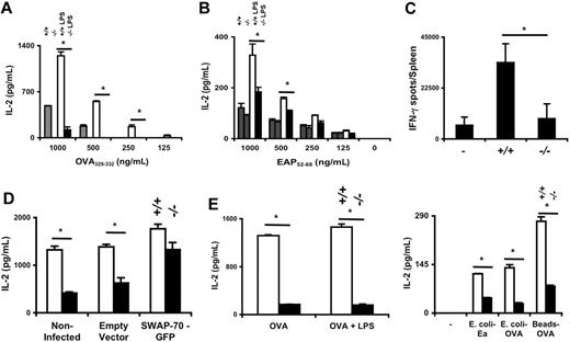 Figure 3. SWAP-70−/− DCs are impaired in generating CD4+ T-cell responses in vitro and in vivo. (A,B) Activation of T-cell hybridomas. Magnetic-activated cell sorting (MACS)–isolated CD11c+ BMDCs (A) or spleen DCs (B) were incubated with T-cell hybridomas BO9710 and 1H3.1, respectively, and different concentrations of peptides. IL-2 in the culture supernatants was measured by ELISA. Representative data of 3 independent experiments are shown. (C) ELISPOT results show IFN-γ–secreting CD4+ T cells specific for OVA323-339 epitope. Results are expressed as the average number of IFN-γ–secreting T cells in the whole spleen. SWAP-70+/+ mice were immunized with MACS-isolated CD11c+ BMDCs loaded with OVA323-339 peptide, and ELISPOT was performed 10 days later. Representative data of 2 independent experiments are shown. White columns indicate wt and LPS; striped columns, wt untreated; white/black columns, SWAP-70−/− untreated; and black columns, SWAP-70−/− and LPS as indicated. *P < .001. (D) Retroviral infection with SWAP-70-GFP restores the capacity to stimulate CD4+ T cells of SWAP-70–deficient DCs. Seven-day CD11c+ BMDCs were transfected with SWAP-70-IRES-GFP (SWAP-70-GFP) or IRES-GFP (empty vector) by retroviral infection as in Figure 2. BMDCs were stimulated with LPS for 12 hours, fixed, and incubated with T-cell hybridomas BO9710 and 1 μg/mL OVA329-332 peptide. IL-2 in the culture supernatants was measured by ELISA. Representative data of 2 independent experiments are shown. □ indicates wt; ■, ko. (E) BMDCs were incubated for 2 hours with 2 mg/mL OVA protein (left panel) or E coli–expressing OVA or Eα proteins at a ratio of 100:1 (bacteria/DCs) (right panel). Cells were washed, fixed, and mixed with T-cell hybridoma cells. IL-2 in the culture supernatants was measured by ELISA. Representative data of 2 independent experiments are shown. □ indicates wt; ■, ko. *P < .001.