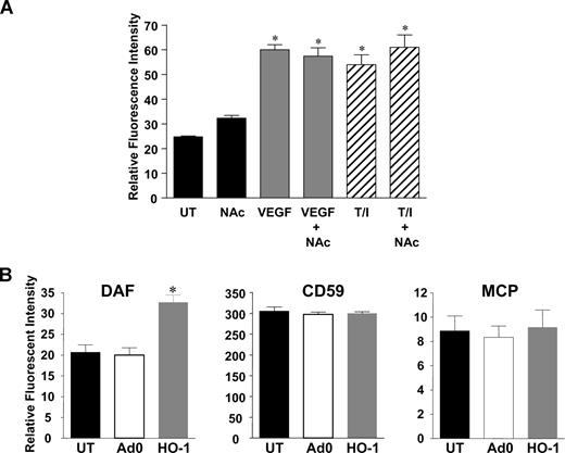 Figure 3. HO-1–induced DAF expression is independent of ROS. (A) HUVECs were treated for 48 hours with VEGF (25 ng/mL) or TNF-α (10 ng/mL) and IFN-γ (500 U/mL) (T/I), in the presence or absence of N-acetylcysteine (5 mM) or vehicle alone (UT). DAF expression was measured by flow cytometry using mAb 1H4 and presented as mean RFI plus or minus SEM (n = 2 experiments). (B) HUVECs were left untreated (UT), infected with Adv–HO-1 or empty vector control adenovirus Ad0 (both MOI 200), and surface antigen expression was measured by flow cytometry at 24 hours after infection using mAbs 1H4 (DAF), BRIC 229 (CD59), and TRA-2-10 (MCP). Results are RFI (mean ± SEM; n = 3 experiments). *P < .05.