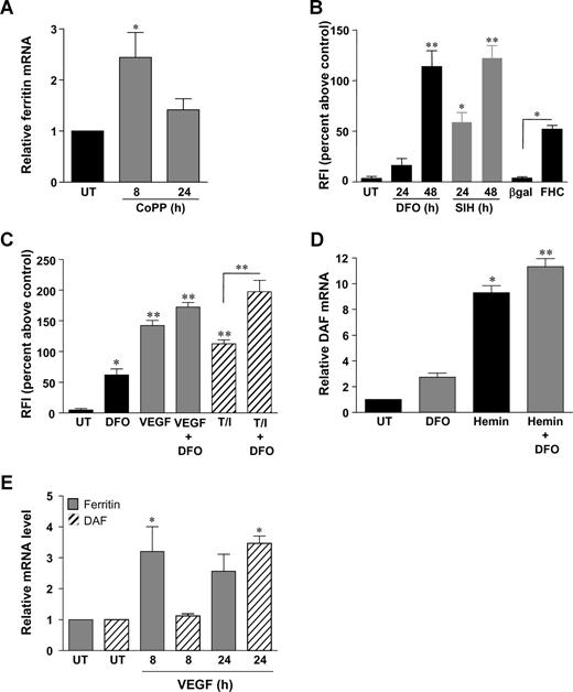 Figure 6. DFO, SIH, and ferritin increase DAF expression on vascular ECs. (A) HUVECs were left untreated or treated for up to 24 hours with CoPPIX (50 μM), and DAF mRNA levels were quantified by real-time PCR. (B) HUVECs were treated with desferrioxamine (DFO; 100 μM), SIH (100 μM), vehicle (UT), or transfected with adenoviruses expressing either heavy-chain ferritin (FHC) or βgal (MOI 200), for up to 48 hours before analysis of DAF expression by flow cytometry using mAb 1H4. (C) HUVECs were treated for 48 hours with VEGF (25 ng/mL) or TNF-α (10 ng/mL) and IFN-γ (500 U/mL) (T/I), in the presence or absence of DFO or vehicle alone (UT), and DAF expression was quantified by flow cytometry. Flow cytometric data are expressed as percentage increase in RFI above that of ECs treated with plain EC culture medium alone. (D) HUVECs were left untreated or treated for 6 hours with hemin (0.2 μM) in the presence or absence of DFO or vehicle alone (UT). DAF mRNA levels were quantified by real-time PCR. (E) HUVECs were left untreated or treated for up to 24 hours with VEGF (25 ng/mL), and DAF (▨) and ferritin (▩) mRNA levels were quantified by real-time PCR. Data are mean plus or minus SEM (n = 2-4 experiments). *P < .05; **P < .01.
