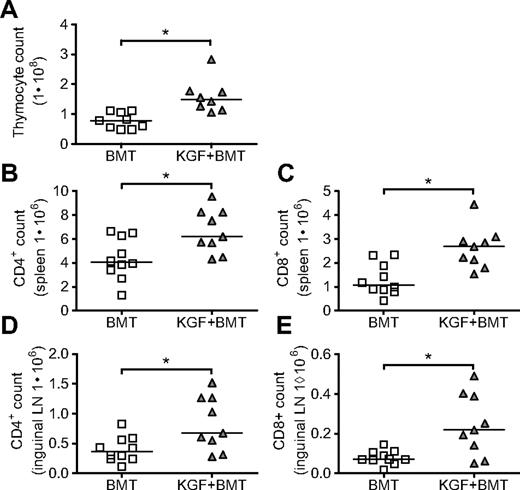Figure 1. KGF increases thymic cellularity and numbers of peripheral T cells on day 19 after allogeneic BMT. Eight- to 10-week-old B6 mice were lethally irradiated (11 Gy) and transplanted with T cell–depleted LP BM (5 × 106). Some recipients received KGF (5 mg/kg/day) or PBS subcutaneously pretransplant on days −6 to −4. On day 19, thymic cellularity (A, *P = .002), CD4+ and CD8+ populations from spleens (B, *P = .02, and C, *P = .003), and inguinal LN (D, *P = .02, and E, *P = .02) were determined by flow cytometry. Values from individual mice are shown with medians. Data are pooled from 2 experiments with similar results.