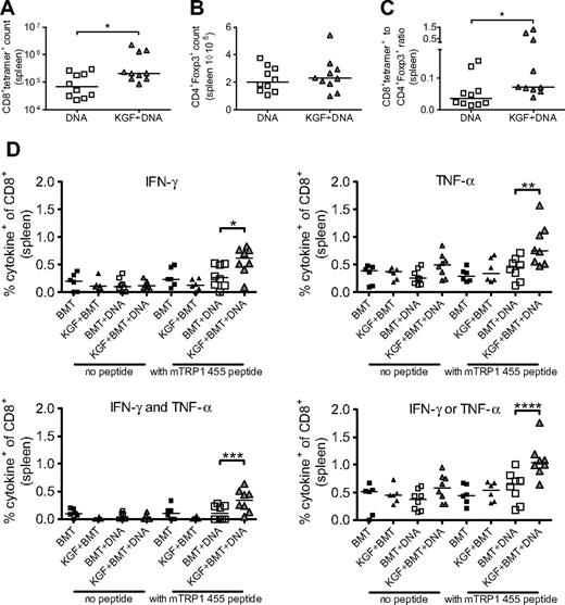 Figure 4. KGF produces increased CD8+ T-cell responses to DNA tumor vaccine without increased CD4+Foxp3+ cells in day 30 recipients of allogeneic BMT. B6 mice underwent T cell–depleted BMT and were treated with KGF as described in Figure 1. On days 14, 19, and 24, mice were vaccinated with VP22-opt-TRP1 plasmid DNA. On day 30, the numbers of CD8+tetramer+ cells (A, *P = .04), CD4+Foxp3+ cells (B), and ratio of CD8+tetramer+ to CD4+Foxp3+ cells (C, *P = .01) from spleens were determined by flow cytometry. Whole splenocytes from transplanted groups also were stimulated overnight in the absence or presence of wild-type murine TRP1 455 peptide, and intracellular production of IFN-γ and TNFα by CD8+ cells was determined by flow cytometry (D, *P = .04, **P = .009, ***P = .03, ****P = .01). Data are pooled from 2 experiments with similar results.