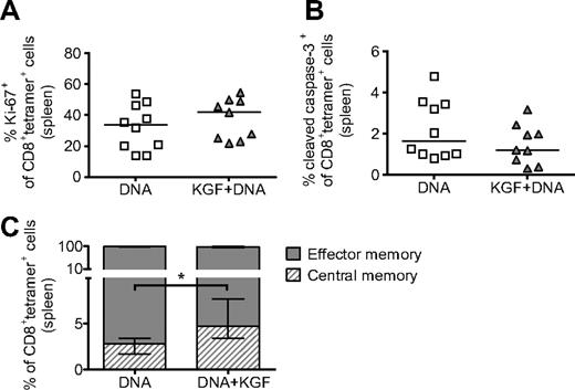 Figure 5. KGF does not affect proliferation or apoptosis but does increase the central memory phenotype of tetramer+ cells in vaccinated mice after allogeneic BMT. B6 mice underwent T cell–depleted BMT and were treated with KGF as described in Figure 1. On days 14, 19, 24, 29, and 34, mice were vaccinated with VP22-opt-TRP1 plasmid DNA. On day 40, tetramer+ cells from spleens were evaluated for proliferation (A), apoptosis (B), and central versus effector memory phenotype (C, *P = .009) by staining for Ki-67, cleaved caspase-3, and CD44 and CD62L, respectively, and analyzing with flow cytometry. Central memory and effector memory cells are defined as CD44highCD62Lhigh and CD44highCD62Llow, respectively. Data are pooled from 2 experiments with similar results.