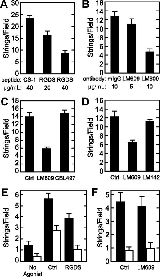 Figure 6. Integrin αvβ3 is important for VWF string adhesion. (A) Confluent HUVECs in a flow chamber were perfused at a shear stress of 2.5 dyne/cm2 using medium 199 supplemented with 100 μM histamine, 2% BSA, and the indicated concentration of fibronectin CS-1 peptide or RGDS peptide, and the number of VWF strings formed was quantified by immunofluorescence microscopy. (B) Perfusion assays were performed similarly with the indicated concentrations of mouse IgG (mIgG) or anti-integrin αvβ3 antibody LM609, which blocks ligand binding. (C) Perfusion assays were performed similarly without (Ctrl) or with 10 μg/mL anti-integrin αvβ3 antibody LM609 or function blocking anti-integrin α5 antibody CBL497. (D) Perfusion assays were conducted without (Ctrl) or with 10 μg/mL anti-integrin αvβ3 antibody LM609 (which blocks ligand binding) or LM142 (which does not block ligand binding). (E,F) Cells were perfused with Ca2+- and Mg2+-free DPBS (E) without (No Agonist) or with 100 μM histamine in the absence (Ctrl) or presence of RGDS peptide (40 μg/mL), or (F) without (Ctrl) or with anti-integrin αvβ3 antibody LM609 (10 μg/mL), and total VWF strings (■) and platelet-decorated VWF strings (□) were quantitated. Results are shown as the mean plus or minus SEM from 10 fields per experiment. Each experiment was performed 3 times.