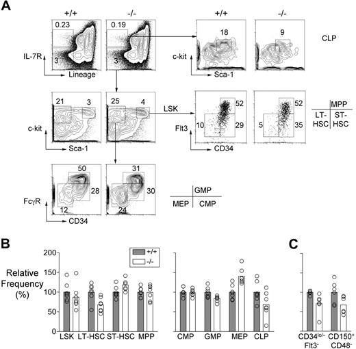 Figure 1. HSC and progenitor populations in Mll5−/− bone marrow. (A) Representative FACS data showing LT-HSC (Lin−, Sca-1+, c-kit+, CD34lo/−, Flt3lo), ST-HSC (Lin−, Sca-1+, c-kit+, CD34+, Flt3 lo), MPP (Lin−, Sca-1+, c-kit+, CD34+, Flt3+), CMP (Lin−, Sca-1−, c-kit+, CD34+, FcγRlo), GMP (Lin−, Sca-1−, c-kit+, CD34+, FcγRhi), MEP (Lin−, Sca-1−, c-kit+, CD34−, FcγRlo), and CLP (Lin−, IL-7R+, Sca-1lo, c-kitlo) populations in an Mll5−/− mouse and a wild-type littermate. (B) Graph showing the average relative frequencies of the indicated cell types in wild-type and Mll5−/− mice (n = 7, both groups) determined using the gating strategies shown in panel A. The data were normalized to the wild-type averages and expressed as percentages. Using the Student t test, we discovered that the following populations showed significant differences in frequency between the 2 groups: LT-HSC, ST-HSC, GMP, MEP (all P < .01) and CLP (P < .05). (C) LT-HSC numbers determined in wild-type and Mll5−/− mice (n = 6, both groups) on the basis of CD34 and Flt-3 or CD150 and CD48 expression. The cells for this experiment were obtained from mice that had been backcrossed 9 times to C57BL/6 partners. The differences in LT-HSC numbers were significant in both cases by Student t test (P < .05).