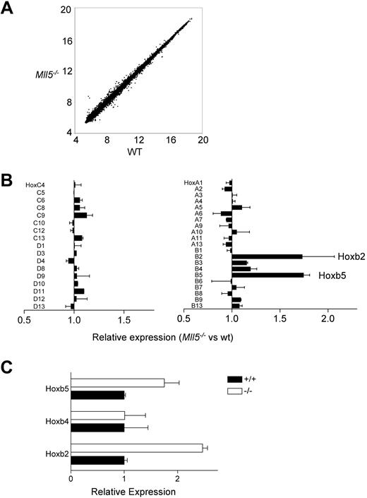 Figure 6. Gene expression in Mll5−/− HSC. (A) Genome-wide analysis of gene expression in Mll5−/− and wild-type LSK cells. The plot shows normalized (log2) hybridization signals for individual features on the microarrays probed with Mll5−/− or wild-type labeled cRNA. The data were generated by using 4 independent preparations of RNA from flow-sorted LSK cells (2 preparations from Mll5−/− mice and 2 from littermate controls). In each case, the LSK cells were prepared from bone marrow pooled from 6 mice. (B) Hox gene expression in Mll5−/− LSK cells as determined by the microarray analysis shown in panel A. The graph shows means plus or minus SEM. (C) Quantitative RT-PCR analysis of Hoxb2 and Hoxb5 expression in Mll5−/− LSK cells. Levels of expression were determined in triplicate and normalized to that of β-actin. The graph shows means plus or minus SD for samples from 1 pair of mice. The data are representative of 3 independent experiments.