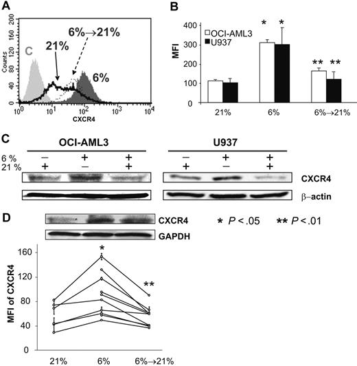 Figure 1. Reduced oxygen tension of 6% O2 induces increases in both surface and total CXCR4 expression in AML cell lines and patient samples. Reoxygenation with 21% O2 induces loss of CXCR4 on hypoxic samples. (A) Histogram of representative experiment showing CXCR4 expression of OCI-AML3 cells under 21% (black line), 6% (dark gray), and reoxygenation with 21% O2 of at least 1 hour (of cells adjusted to hypoxia; black dotted line). Surface expression is shown relative to an irrelevant IgG control (C, light gray). (B) Up-regulation and loss of CXCR4 surface expression depends on O2 in AML cell lines OCI-AML3 and U937. (C) In OCI-AML3 and U937 cell lines, physiologic hypoxia increases total amount of CXCR4 as shown by Western blotting, which is lost when cells are reexposed to 21% O2. (D) Samples from patients with AML (n = 10) show a concordant pattern: using flow cytometry, hypoxia leads to a statistically significant increase in the MFI of CXCR4 expression (n = 6). Increase of O2 from 6% to 21% leads to a significant loss in MFI (n = 10). Western blotting also shows the changes (1.6-fold increase in OD at 6% O2 and 0.7-fold decrease after reoxygenation) in total protein in 1 primary AML sample. Graphs show mean values and SD.