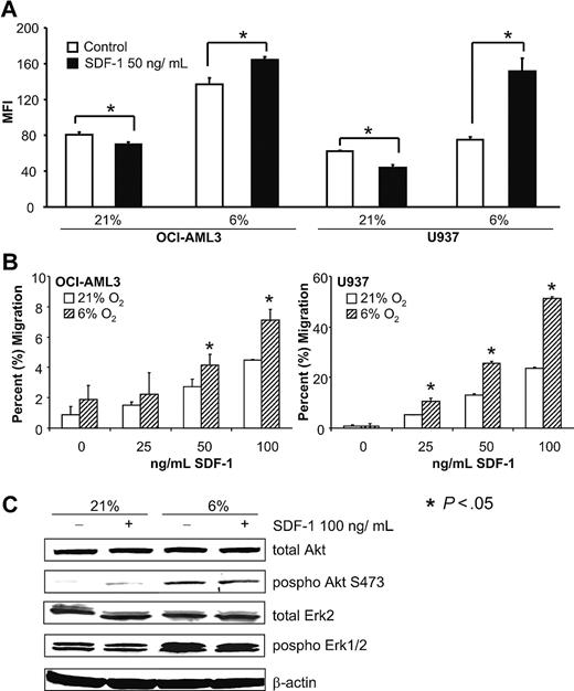 Figure 3. The SDF-1/CXCR4 axis displays different features under 6% and 21% O2 levels. (A) SDF-1 (50 ng/mL) leads to a statistically significant decrease of CXCR4 under normoxia in OCI-AML3 and U937 cell lines. However, under 6% O2, exposure to the same amount of SDF-1 leads to a significant increase of CXCR4 expression. (B) Dose-response curves of leukemic cell lines reveal a significant increase (OCI-AML3 maximum 1.6-fold, U937 maximum 2.2-fold) in migration toward SDF-1 at 6% O2. Graphs show mean and SD. (C) Western blotting of OCI-AML3 after stimulation of CXCR4 with SDF-1 under 6% and 21% O2. Hypoxic cells show a dramatic increase in Akt and Erk stimulation, but no response to SFD-1.