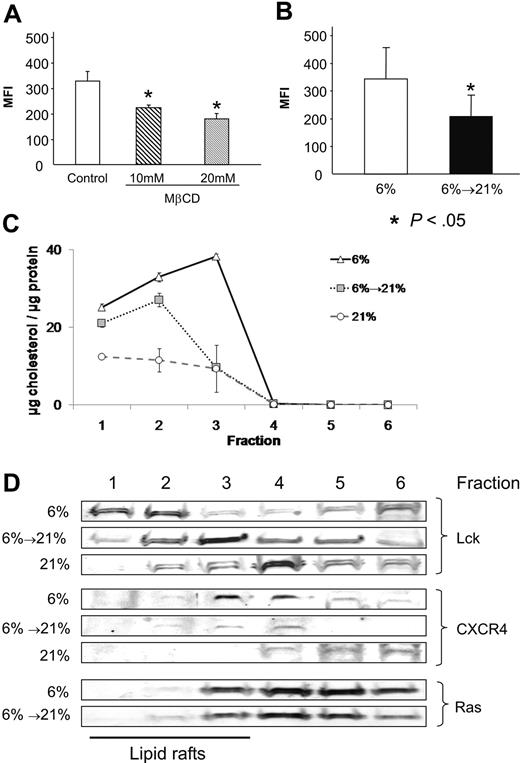Figure 5. CXCR4 is located in lipid rafts in physiologic hypoxia and reoxygenation changes lipid rafts. (A) Treatment of hypoxic OCI-AML3 cells with MβCD results in a dose-dependent decrease of CXCR4 expression. (B) OCI-AML3 stained with FITC-labeled β-subunit cholera toxin show a statistically significant loss of GM1-Ganglioside upon reoxygenation. (C) Reoxygenation leads to loss of cholesterol in lipid raft fractions 1 to 3 in OCI-AML3 cells after sucrose density centrifugation, mimicking MβCD treatment. Cells kept at 21% O2 show the lowest cholesterol per protein content. (D) Western blots of fractions after sucrose density centrifugation: Lck shows redistribution in reoxygenated cells; CXCR4 is lost from lipid rafts during reoxygenation, while Ras is unaltered. Cells kept at 21% are shown as control. Graphs show mean and SD.