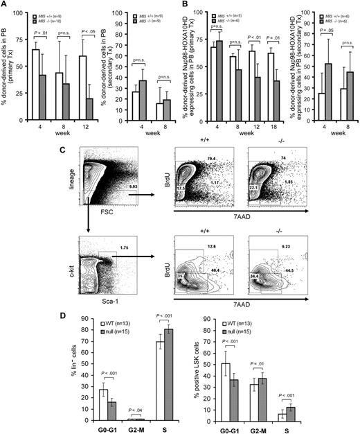 Figure 6. Loss of Mll5 enhances cell-cycle transition of hematopoietic progenitor cells and affects the repopulation ability of normal and NUP98-HOXA10hd– expanded bone marrow cells. (A) Hematopoietic reconstitution in peripheral blood of wild-type mice transplanted with retrovirally marked bone marrow cells from Mll5+/+ (n = 9) or Mll5−/− (n = 10) mice. Chart depicts mean and SD of percent donor-derived cells (YFP-positive by FACS) in peripheral blood at 4, 8, and 12 weeks after transplantation (left panel). Hematopoietic reconstitution in peripheral blood of secondary transplants (right panel). (B) Hematopoietic reconstitution in peripheral blood of wild-type mice transplanted with bone marrow cells from Mll5+/+ (n = 5) or Mll5−/− (n = 6) mice transduced with NUP98-HOXA10hd. Chart shows percent donor-derived NUP98-HOXA10hd–expressing cells (GFP-positive by FACS) in peripheral blood at 4, 8, 12, and 18 weeks after transplantation (left panel). Hematopoietic reconstitution in peripheral blood of secondary transplants (right panel). (C) Gating strategy for lineage-negative and LSK cells and representative blots of cell-cycle distribution. (D) Cell-cycle distribution in lineage-negative (left panel) and LSK (right panel) bone marrow cells (BrdU injections intraperitoneally at 36, 24, and 12 hours before harvest) from 8-week-old Mll5+/+ (n = 13) and Mll5−/− (n = 15) mice. Cell-cycle phases were determined by analysis of 5-bromo-2-deoxyuridine (BrdU)/7-amino-actinomycin D (7AAD) staining by FACS, and the mean and SD of each phase is shown.
