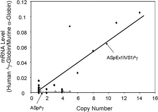 Figure 3. Correlation of transgene copy number with the levels of α-spectrin gene/Aγ-globin mRNA in ASpEx1IVS1/Aγ-transgenic mice. ●, Linear regression analysis of the transgene copy number with the corrected mRNA expression level was performed with ASpEx1IVS1/Aγ mice; △, ASp/Aγ mice. There is a linear relationship in ASpEx1IVS1/Aγ mice, indicating copy number–dependent expression (r2 = 0.7659, P < .001 for all 23 strains). The lines shown were generated via a “best fit” algorithm with each point weighted equally.