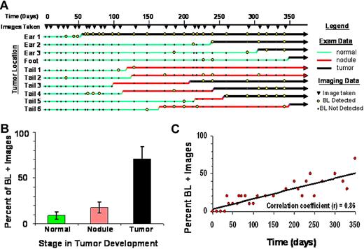 Figure 5. Stochastic bioluminescence correlates with spontaneous tumorigenesis. (A) Summary of physical examination and bioluminescent imaging data from 10 spontaneous lesions that developed in a cohort of TAX-LUC animals over the period of 1 year. (B) Frequency with which bioluminescence is associated with various stages in tumor development. (C) Frequency of bioluminescence within the cohort over time increases as animals develop spontaneous tumors.