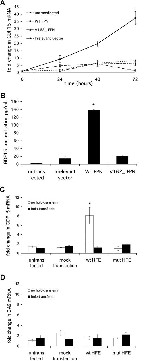 Figure 4. GDF15 is induced by intracellular iron depletion. HeLa cells were seeded at 2 × 105 cells/mL 8 hours before transfection. Cells were transfected with 1 μg/well PQCXIX mammalian expression vector encoding wild-type ferroportin (WT FPN), inactive mutant V162Δ ferroportin (V162Δ FPN), or an irrelevant insert fused to EGFP (irrelevant vector). (A) Cells were harvested at 24, 48, and 72 hours after transfection and GDF15 mRNA were determined by qPCR. *P < .05 compared with irrelevant vector. (B) ELISA measurement of secreted GDF15 protein in cell supernatants collected 48 hours after transfection. *P < .05 compared with irrelevant vector. (C,D) HeLa cells were transfected with 1 μg/well PQCXIX mammalian expression vector encoding β2M-HFE (WT), inactive mutant β2M-HFE V100Δ (mut HFE), or FuGene transfection reagent alone (mock transfection). Cells were harvested 72 hours after transfection and GDF15 mRNA and CA9 mRNA determined by qPCR. For 36 hours before harvest, cells were treated with or without 2 mg/mL holotransferrin. *P < .05 compared with mock transfection. Plotted data are mean plus or minus SD of 3 independent biologic replicates.