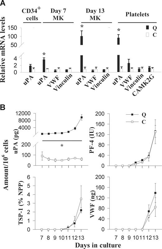 Figure 1. Expression of uPA, α-granule proteins, vinculin, and CAMK2G in QPD (Q) and control (C) CD34+ cells, cultured megakaryocytes, and platelets. (A) RT-qPCR analysis of uPA, VWF, vinculin, and CAMK2G mRNA levels in platelets and/or CD34+ cells, and day-7 and -13 megakaryocytes, relative to controls (arbitrarily set to 1) to identify altered patterns of gene expression in QPD. (B) Comparison of uPA, PF-4, TSP-1, and VWF antigen in megakaryocyte culture supernatants, evaluated by ELISA at different stages of culture. Undetectable levels are presented as zero. Data represent mean values; error bars indicate SEM for data from 3 to 5 subjects. *Significant increases (P < .05) in QPD, compared with control.