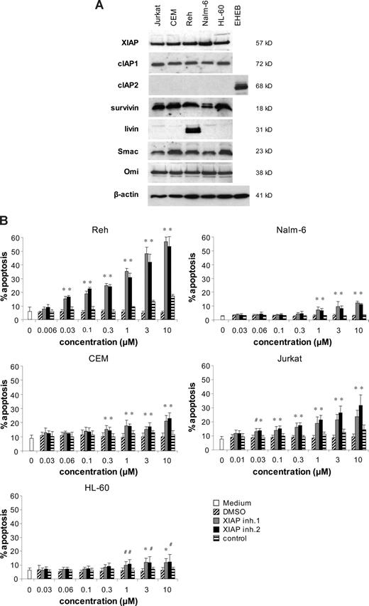 Figure 1. XIAP inhibitors trigger apoptosis in acute leukemia cells. (A) Protein expression of XIAP, cIAP1, cIAP2, survivin, livin, Smac, Omi, and β-actin was assessed in acute leukemia cell lines by Western blotting. EHEB CLL cells were used as positive control for cIAP2 expression. (B) Acute leukemia cell lines were left untreated (□) or were treated for 48 hours with indicated concentrations of XIAP inhibitors, control compound, or DMSO. Apoptosis was determined by forwardside scatter analysis and flow cytometry. Mean and SD of 3 experiments each performed in triplicate are shown. For statistical analysis, t test was performed comparing XIAP inhibitors to control compound. #P < .05; *P < .01.