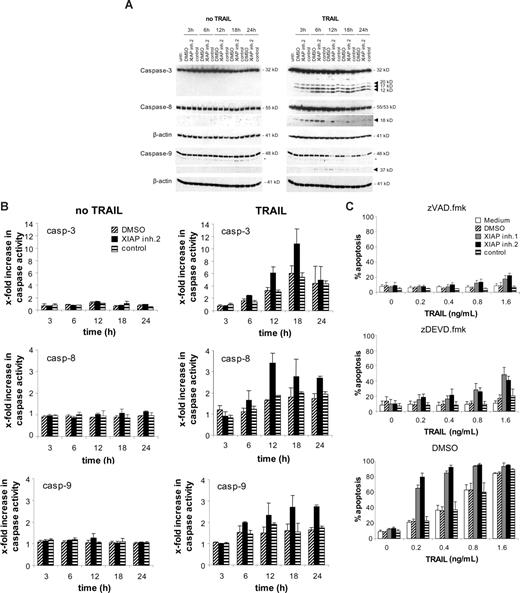 Figure 3. XIAP inhibition enhances TRAIL-induced activation of caspases. Jurkat leukemia cells were left untreated or were treated with 0.4 ng/mL TRAIL and/or 10 nM XIAP inhibitor 2, control compound, or DMSO for indicated times. (A) Caspase activation was analyzed by Western blotting. Arrowheads indicate caspase cleavage fragments; the asterisks mark unspecific bands. (B) Caspase activity was determined by FACS analysis as described in “Methods,” and x-fold increase in caspase activity is shown. (C) Jurkat leukemia cells were left untreated (□) or were treated for 72 hours with indicated concentrations of TRAIL and/or 10 nM XIAP inhibitors, control compound, or DMSO and 20 μM zVAD.fmk, 50 μM zDEVD.fmk, or DMSO. Apoptosis was determined by forwardside scatter analysis and flow cytometry. Mean and SD of 3 experiments each performed in triplicate are shown.