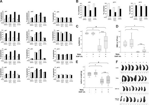 Figure 7. Effect of XIAP inhibitors and TRAIL on primary childhood ALL cells ex vivo and in a NOD/SCID mouse model in vivo. Primary leukemic blasts from children with ALL before the onset of chemotherapy were left untreated (□) or were treated for 24 hours with 1 μg/mL TRAIL (■) in the presence of 10 nM XIAP inhibitors, control compound, or DMSO. Apoptosis was determined by forwardside scatter analysis and flow cytometry (A) and colony formation was assessed as described in “Methods” (B). (C-F) NOD/SCID mice were inoculated with 107 human leukemic cells. Treatment started on day 3 with 40 mg/kg XIAP inhibitor 2 and/or 50 μg TRAIL/mouse. Drugs were administered intraperitoneally 5 days/week for 4 weeks and mice were killed on day 34. The percentage of human CD45+ cells on day 34 (C), the number of white blood cells on day 34 (D), and spleen weight on day 34 (E) are depicted by box plots; the line inside each box denotes median; boxes, 25th and 75th percentiles; error bars, minimum and maximum; #P < .05; *P < .01; and n.s., not significant. (F) Spleens are depicted at autopsy on day 34.