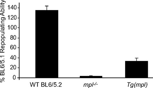 Figure 3. Hematopoietic stem cell repopulating ability of WT, mpl−/−, and Tg(mpl) marrow. WT (Ly5.2), mpl−/−, and Tg(mpl) marrow competed 1:1 with WT (Ly5.1) marrow cells in lethally irradiated WT (Ly5.1) recipients. The repopulating activity was determined at 16 weeks after transplantation from the percentage of peripheral blood leukocytes in reconstituted chimeras staining for each of the CD45 alloantigens, CD45.1 and CD45.2. Repopulating activity is normalized to the WT (Ly5.1) control marrow; n = 8 to 9 mice for each strain. Means plus or minus SE are shown.