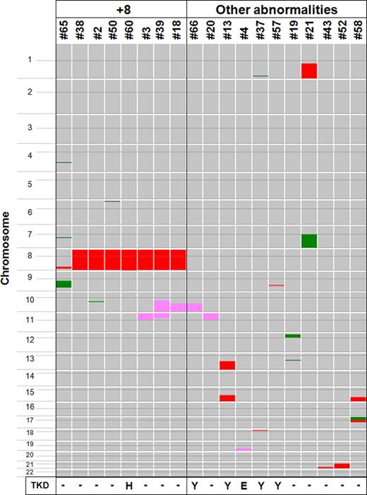 Figure 1. Summary of genomic abnormalities in t(15;17) APL samples. Genomic DNA of 47 t(15;17) APL samples were subjected to SNP-chip analysis, and genomic abnormalities are summarized. Color boxes are used to denote the type and size of abnormalities: pink (copy-number-neutral loss of heterozygosity; CNN-LOH); green (deletion); and red (duplication including trisomy). A total of 28 patients (60%) showed no detectable genomic abnormalities (data not shown). In contrast, 19 patients (40%) had one or more genomic abnormalities: trisomy 8 or duplication of the MYC gene region either with or without genomic abnormalities was found in 8 patients (17%, referred as “+8”) and 11 patients (23%, referred as “other abnormalities”) had genomic abnormalities without trisomy 8. Six patients (13%) had CNN-LOH; and 1 sample in +8 group and 5 samples in other abnormalities group had FLT3 point mutations that are shown by their amino acid change at codon 835 from D (aspartic acid) to either Y (tyrosine), E (glutamic acid), or H (histidine).