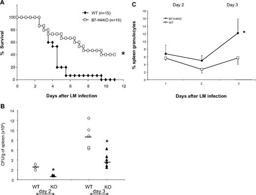 Figure 2. B7-H4 KO mice are resistant to Listeria infection, accompanied with increased neutrophils. (A) B7-H4 KO mice are more resistant to Listeria infection than WT mice. Fifteen WT or B7-H4 KO mice were intraperitoneally injected with 2 × 106 CFUs Listeria. Survival of mice was monitored daily. Data represent a pool of 2 independent experiments. *P < .05. (B) Decreased Listeria colony formation in spleens from B7-H4KO mice. WT or B7-H4KO mice (KO) were intravenously injected with 105 CFUs Listeria. Days 1 to 3 after infection, whole spleens were weighted and homogenized in 5 mL PBS, and tissue lysates were plated on agar plates of Listeria enrichment broth for colony counting. The results from individual mice are presented. Data represent at least 3 independently performed experiments. *P < .05. (C) Spleen neutrophils increase after Listeria infection in B7-H4 KO mice. Three B7-H4KO or littermate control mice were grouped and intravenously injected with 105 CFUs Listeria. Splenocytes were isolated 1, 2, and 3 days after infection and were stained with Gr-1 and CD11b mAb. The same numbers of littermates were included as controls. Each point represents results from pool of 3 mice. Data represent at least 3 independent experiments. *P < .05. Error bars indicate SD (n = 3 mice).