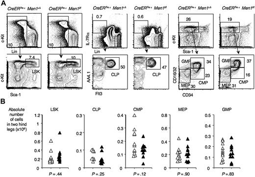 Figure 2. Preserved numbers of multilineage, myelo-erythroid, and common lymphoid progenitors after Men1 inactivation. Flow cytometric analysis of progenitor populations in the BM of control CreERTm+ Men1+/+ mice and menin-deficient CreERTm+ Men1f/f mice. The analysis was performed at least 3 weeks after TAM administration. (A) Representative examples, with progenitor populations identified as follows: LSK progenitors (containing hematopoietic stem cells); CLP, common lymphoid progenitors (Lin−IL-7Rα+AA4.1+Flt3+); CMP, common myeloid progenitors (Lin−Sca-1–c-kithiCD34+CD16/32lo); MEP: megacaryocyte-erythroid progenitors (Lin−Sca-1–c-kithiCD34−CD16/32lo); GMP, granulocyte-macrophage progenitors (Lin−Sca-1–c-kithiCD34hiCD16/32hi). (B) Absolute cell numbers in calculated in 2 hind legs. ▵: control CreERTm+ Men1+/+; ▴: CreERTm+ Men1f/f mice. P values indicate the results of a Student t test.