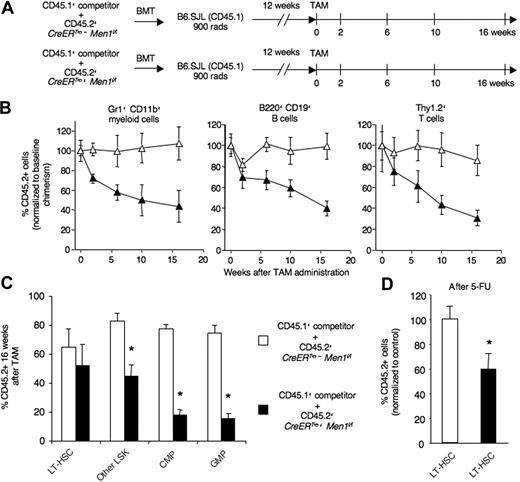 Figure 6. Cell-autonomous basis of multilineage hematopoietic defects after Men1 inactivation. (A) Experimental design. CD45.2+ BM was harvested from CreERTm+ Men1f/f or control CreERTm− Men1f/f mice (CD45.2+) without prior TAM, mixed at a 1:1 ratio with competitor CD45.1+ BM and transplanted into lethally irradiated B6.SJL mice. After 12 weeks to establish mixed chimerism, TAM was administered. (B) The contribution of CD45.2+ cells to blood myeloid (Gr1+CD11b+), B (B220+CD19+), and T (Thy1.2+) cells was assessed before administration of TAM and 2, 6, 10, and 16 weeks thereafter. Results are shown as mean plus or minus SEM and normalized to the chimerism observed at baseline. ▵: CD45.1+ competitor and CD45.2+ CreERTm− Men1f/f; ▴: CD45.1+ competitor and CD45.2+ CreERTm+ Men1f/f. (C) Contribution of CD45.2+ cells (% + SEM) to the BM LT-HSC compartment (CD150+CD48−LSK cells), other LSK progenitors containing short-term HSCs, CMPs, and GMPs 16 weeks after TAM administration. (D) Relative contribution of CD45.2+ cells to the CD150+CD48−LSK BM LT-HSC compartment in a group of mice transplanted as described in panel A, followed by challenge with 5-FU. Data were acquired 16 days after 5-FU injection. Results were normalized to the chimerism in the control group. * indicates statistical significance (P < .05).