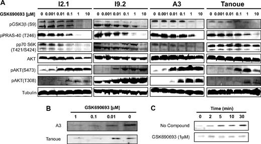 Figure 2. GSK690693 inhibits AKT signaling in ALL cells. (A) I2.1, I9.2, A3, and Tanoue cells were treated with DMSO or different concentrations of GSK690693 for 6 hours. Cell lysates were analyzed by Western blot analysis for phospho-GSK3β Ser9, phospho-PRAS40 Thr246, phospho-p70S6K Thr421/Ser424, phospho-AKT Ser473, and phospho-AKT Thr308. Total AKT and tubulin are shown as loading controls. (B) GSK690693 inhibits AKT kinase activity in ALL cells. A3 and Tanoue cell lines were treated with DMSO or various concentrations of GSK690693 for 1 hour. AKT was immunoprecipitated from cell lysates with immobilized anti-AKT antibody, and the kinase assay was performed using GSK-3 fusion protein as a substrate. Phosphorylation of GSK3 was measured by Western blot analysis, using phospho-GSK3β antibody. (C) GSK690693 inhibits stimulated AKT kinase activity in ALL cells. Tanoue cells were serum-starved overnight, then treated with DMSO or 1 μM GSK690693 for 1 hour. Cells were treated with 5 ng/mL insulin for various times to stimulate AKT activity. AKT kinase assay was performed.