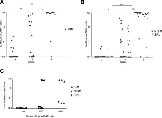 Figure 2. Kinetic analysis of T-ALL engraftment after serial transplants. Blast cells from the spleen or bone marrow of secondary and tertiary engrafted mice were transplanted (250 000 cells/mouse) in the femur of recipient mice. CD45+ engraftment levels were measured over time in (A) the IBM and in (B) the spleen and noninjected bones (NIBM, right panel) of NOD-Scid recipients. *P < .05; **P < .01; ***P < .001; NS, not significant. (C) Limiting dilution experiment performed with M30 T-ALL. Cells were transplanted into mice and engraftment levels were tested in IBM, NIBM, and spleen 2 months after transplantation. Positivity was established when more than or equal to 0.1% human CD45+ cells were detected.