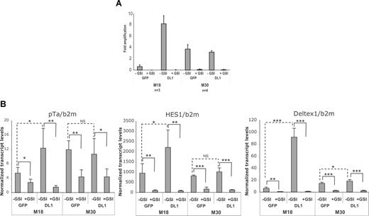 Figure 4. In vitro T-ALL growth is inhibited by γ-secretase inhibitors. (A) Day 30 amplification rate of M18 and M30 T-ALL leukemic cells cocultured with MS5-GFP and MS5-DL1 in presence (+GSI) or in absence (−GSI) of γ-secretase inhibitor. Shown are mean plus or minus SD of 3 (M18) and 4 (M30) experiments. (B) mRNA levels of pTα, HES1, and deltex measured on day 3 of culture of M18 and M30 cells. Shown are mean values plus or minus SD of 4 measurements normalized using β2-microglobulin mRNA levels. Data are expressed as percentage of b2m values. *P < .05; **P < .01; ***P < .001; NS, not significant.